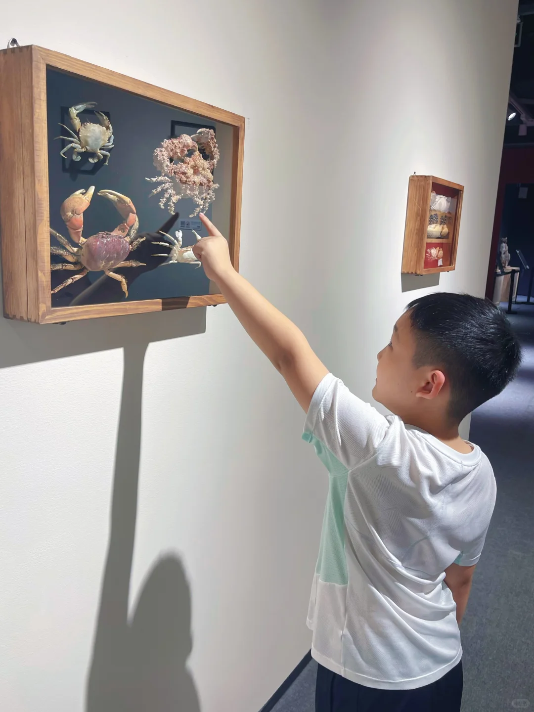 海口首展|万物生大型动物标本展,重磅来袭!