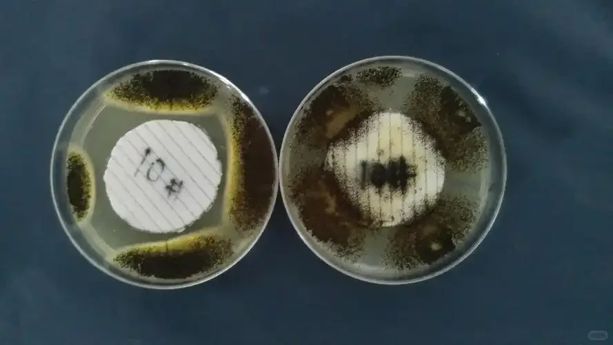 什么是抗菌面料?