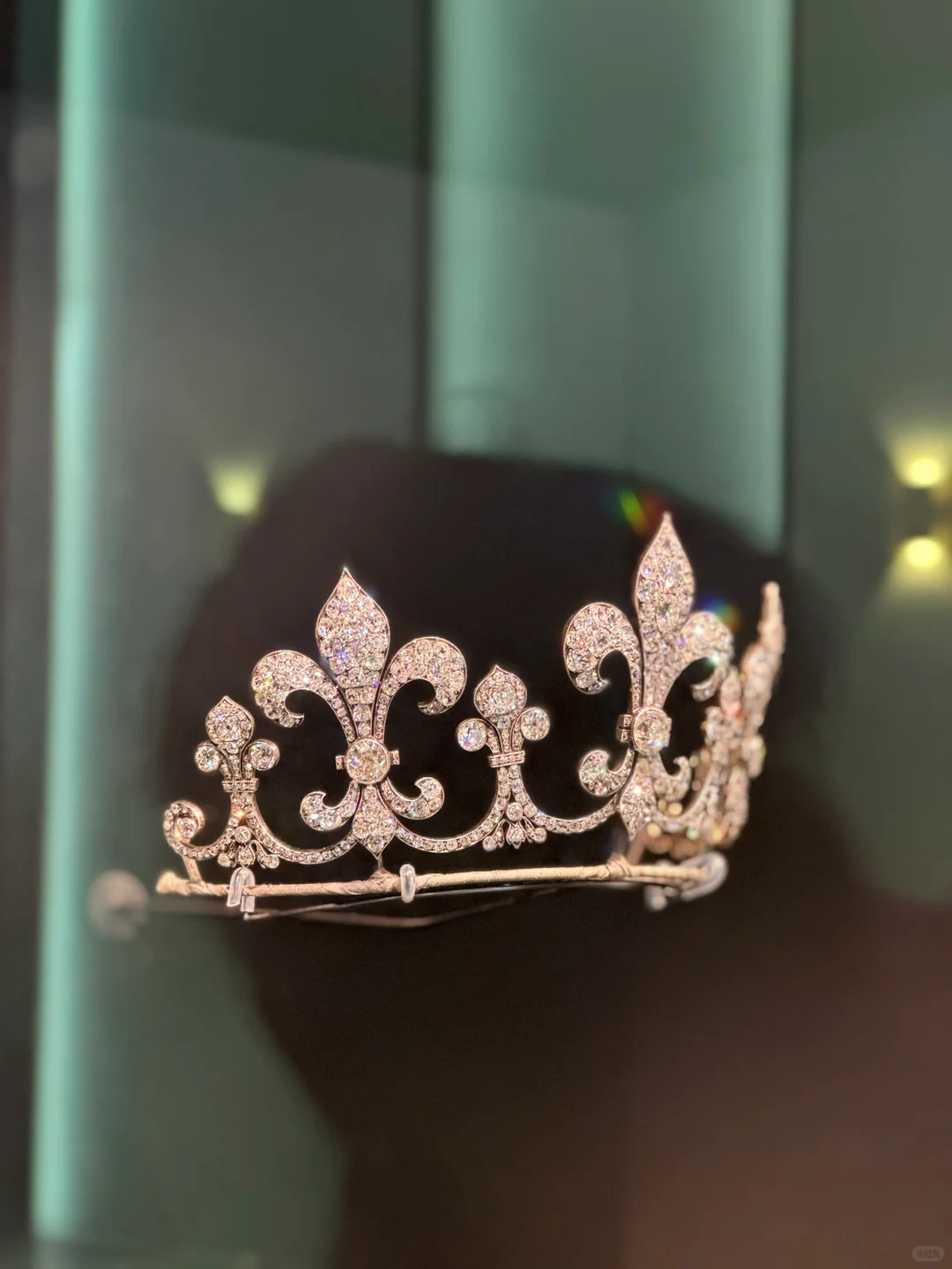 进博会真是富贵迷人眼~