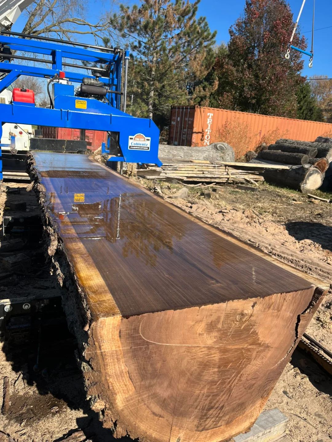 这就是黑胡桃木