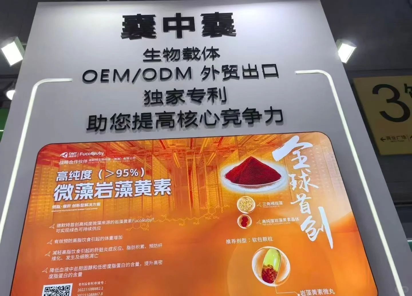 囊中囊共享工厂