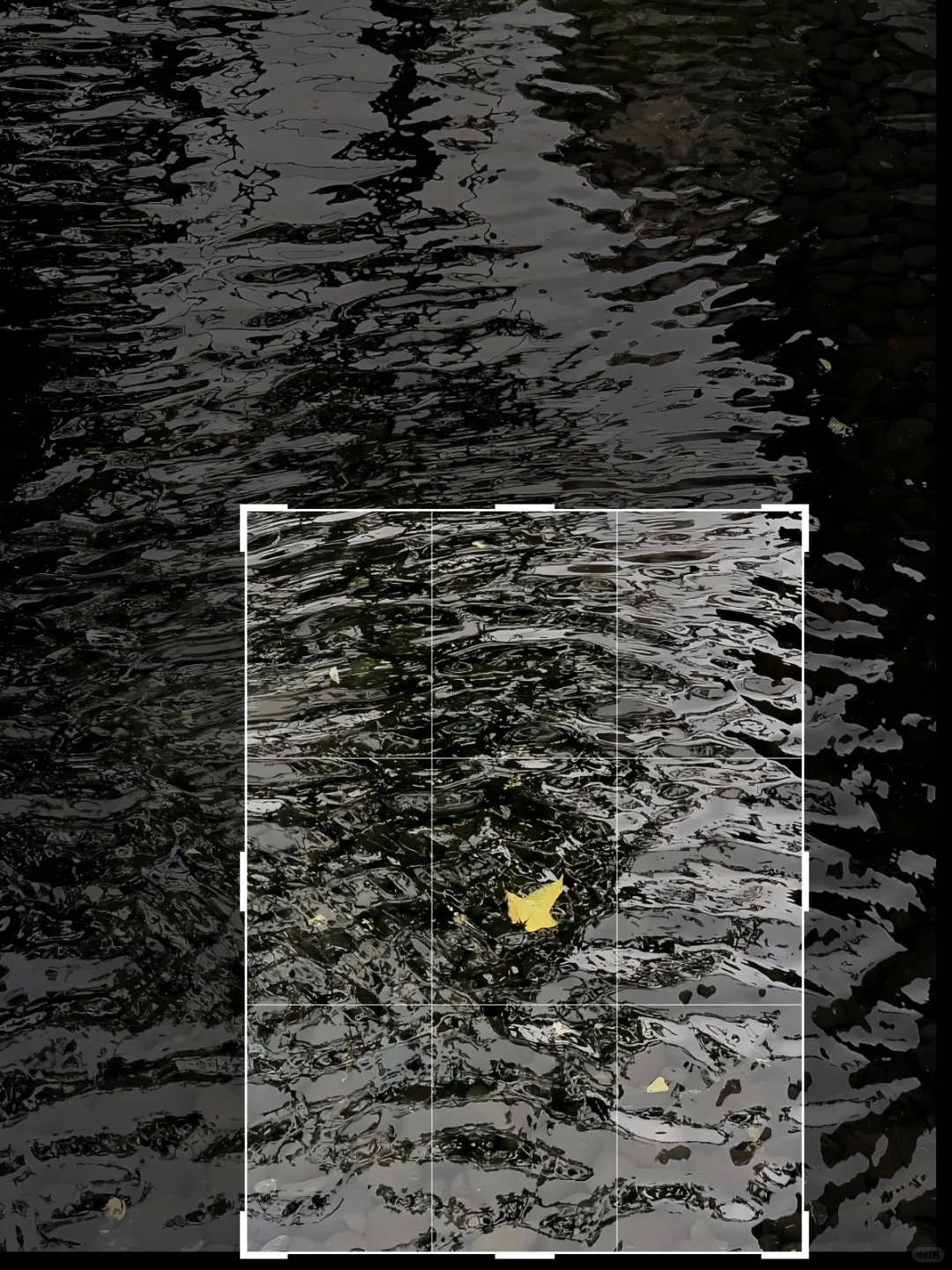 二次构图➕滤镜拯救了相册里一半的废片