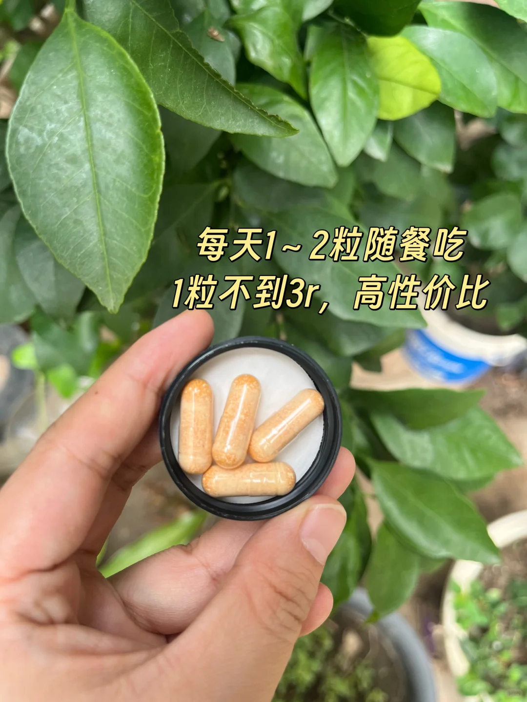 一图看懂B族维生素大家族～