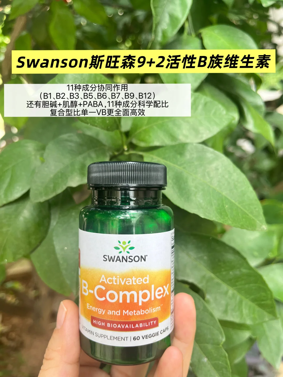 一图看懂B族维生素大家族～