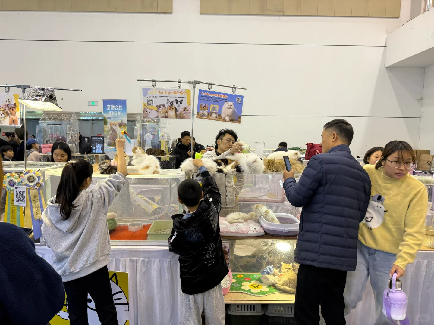 苏州展销会|双12苏州购物节我来也!!