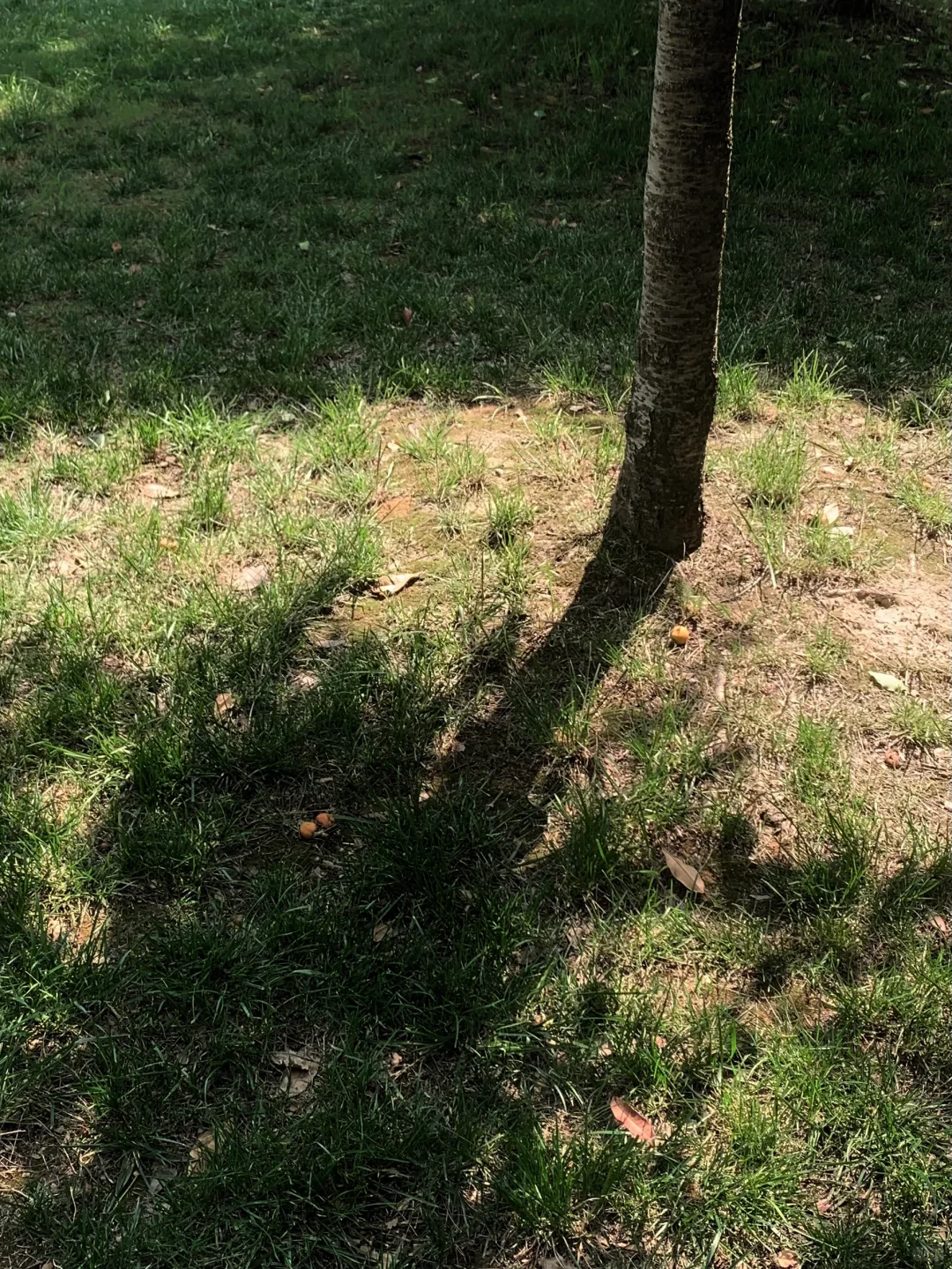 二次构图➕滤镜拯救了相册里一半的废片