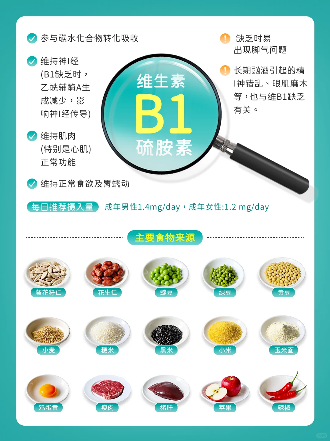 补充维生素B族：吃对食物才能打出完美配合
