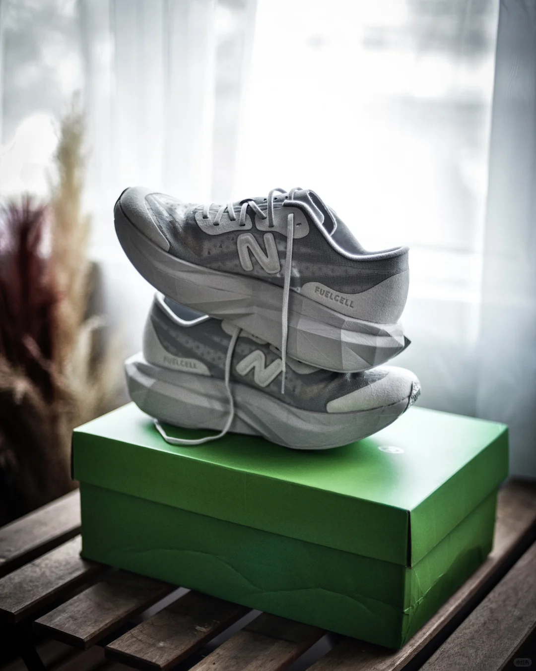 Fuel Cell SC V4 x District Vision