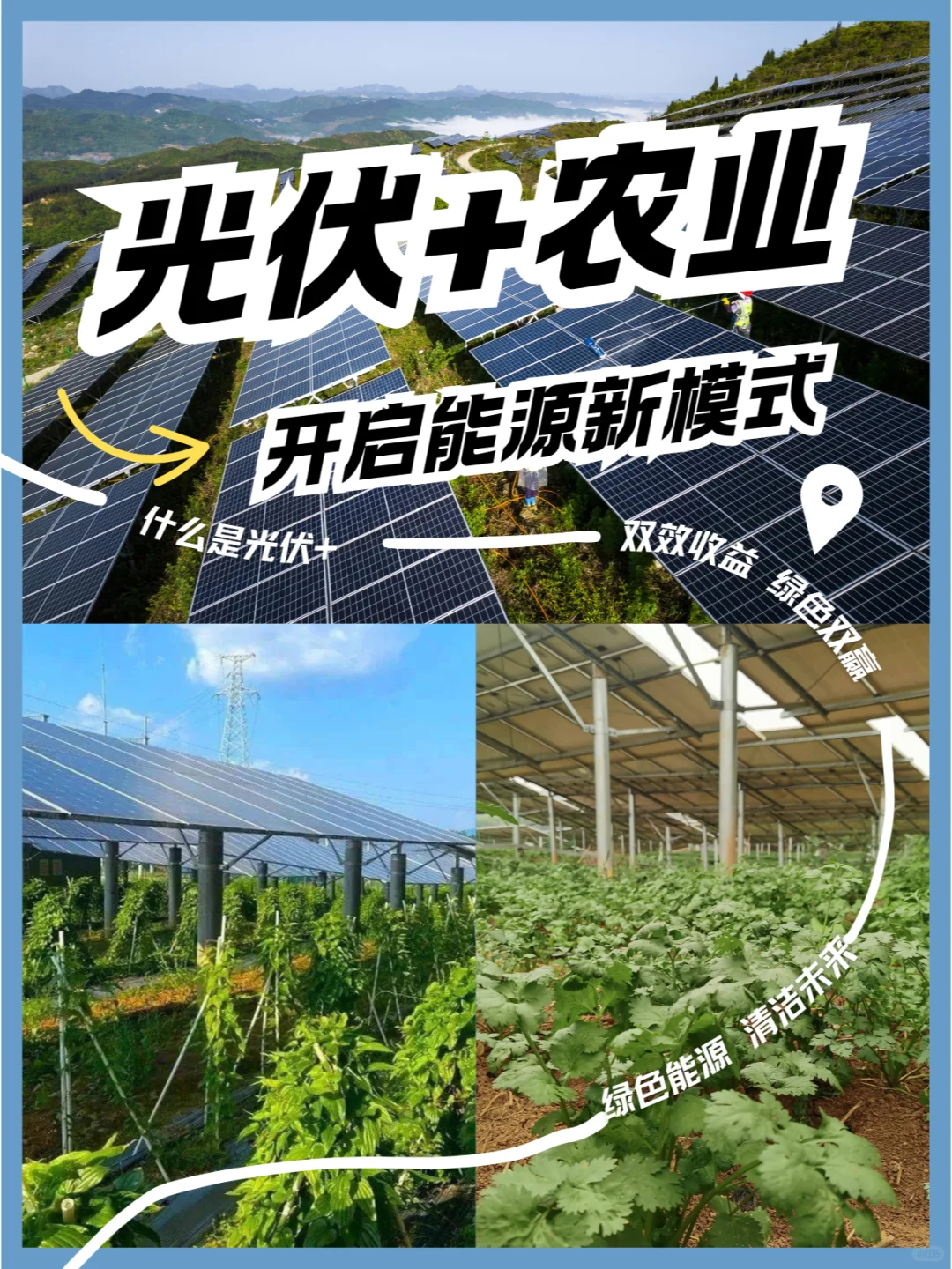 ?【农光互补,绿色能源新篇章】?