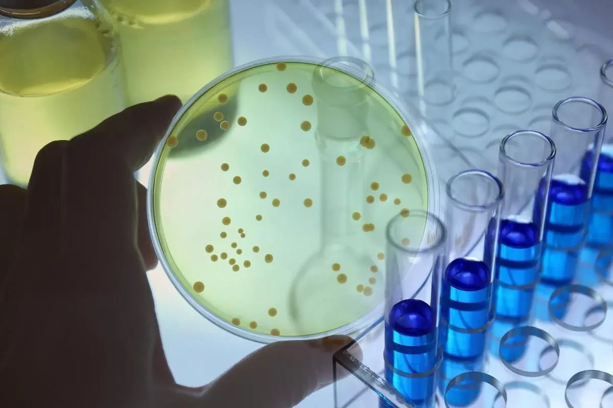 什么是抗菌面料?