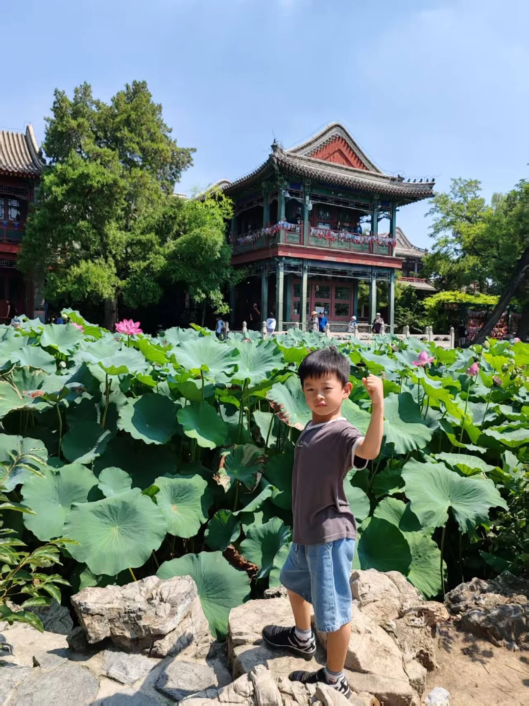 石家庄1h可达,一定要带娃去的自然博物馆!