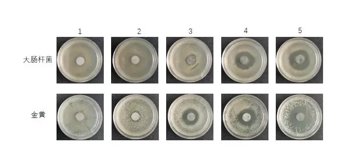 什么是抗菌面料?