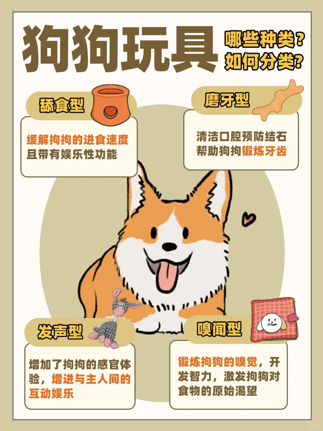 12种狗狗丰荣玩具|区分种类养宠人快看❗️