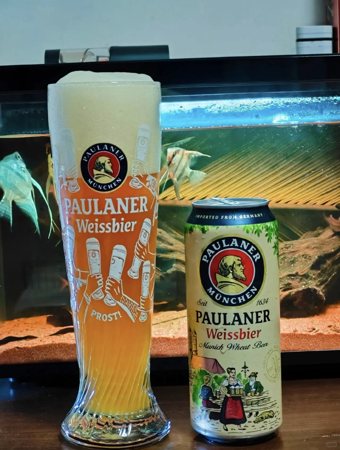 啤酒六边形战士!麦香平衡性价比,柏龙全都要