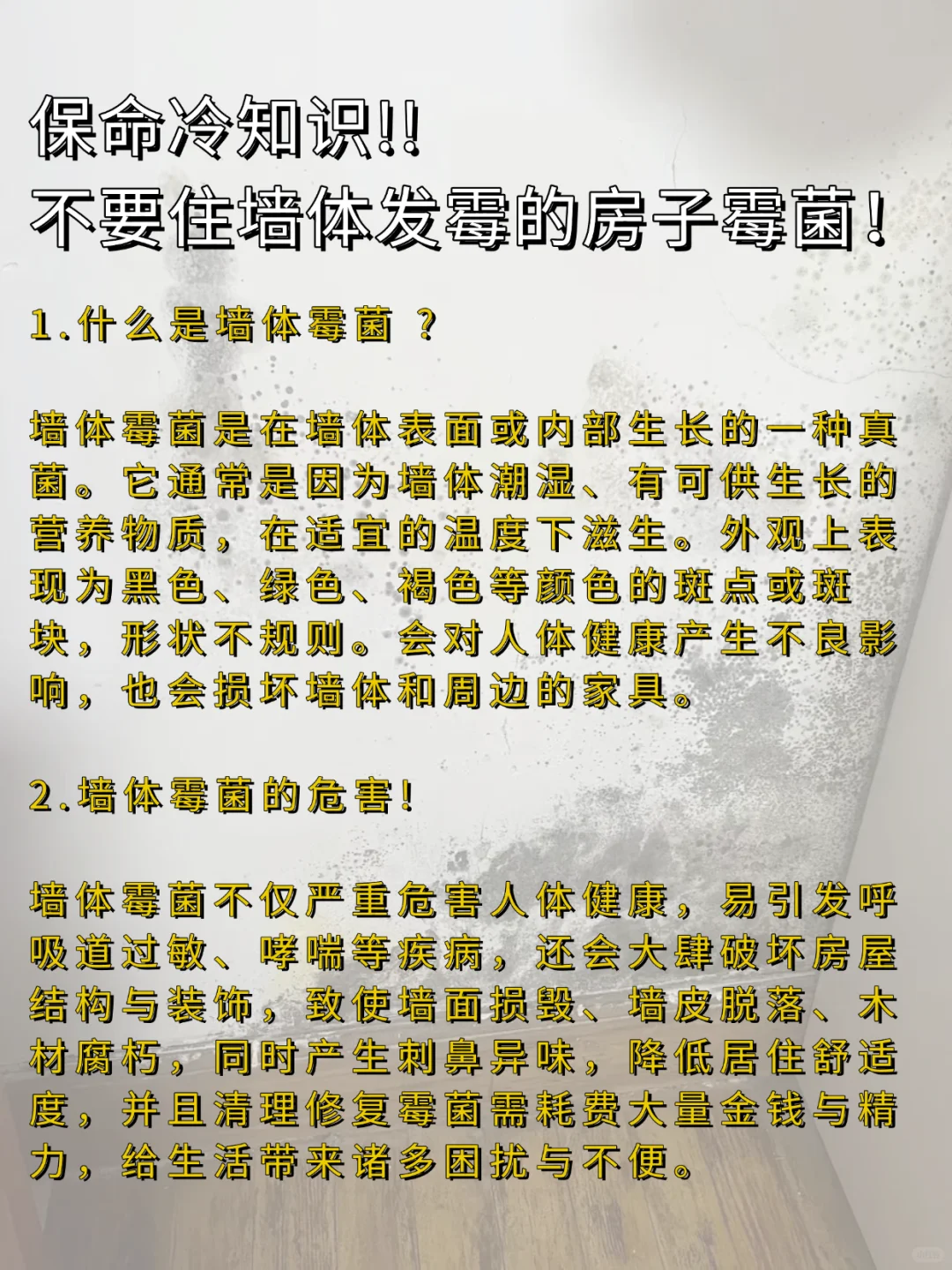 告别墙面发霉烦恼 | 乔黎萨乐医用级涂料来