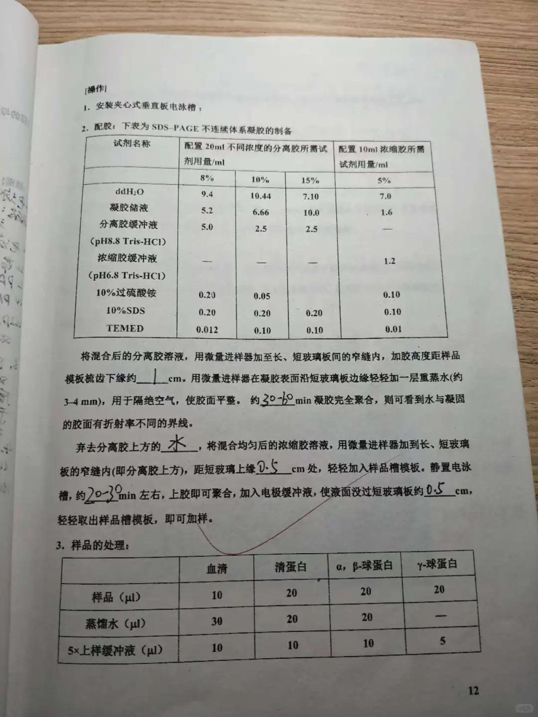 生物化学实验报告SDS-聚丙烯酰胺凝胶电泳