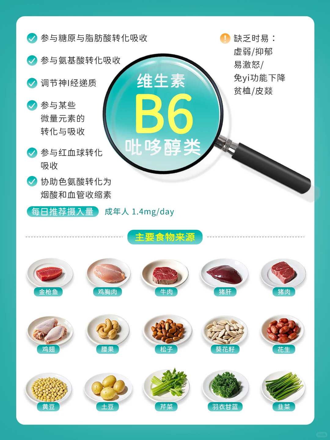 补充维生素B族：吃对食物才能打出完美配合
