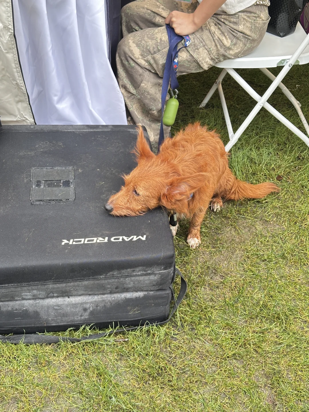 我在安高若运动展 根本停不下来