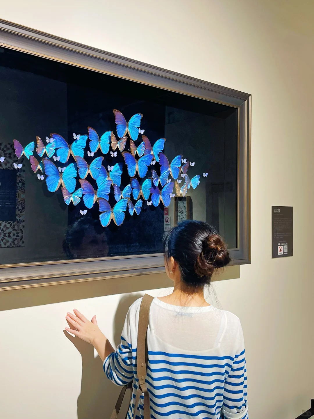 海口首展|万物生大型动物标本展,重磅来袭!