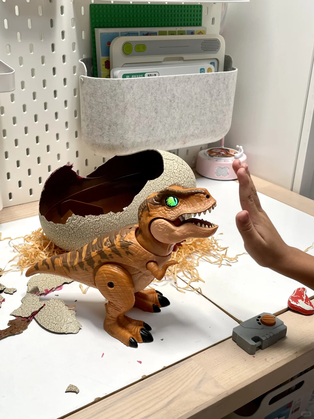 今年五岁生日 孵化了一只侏罗纪霸王龙?