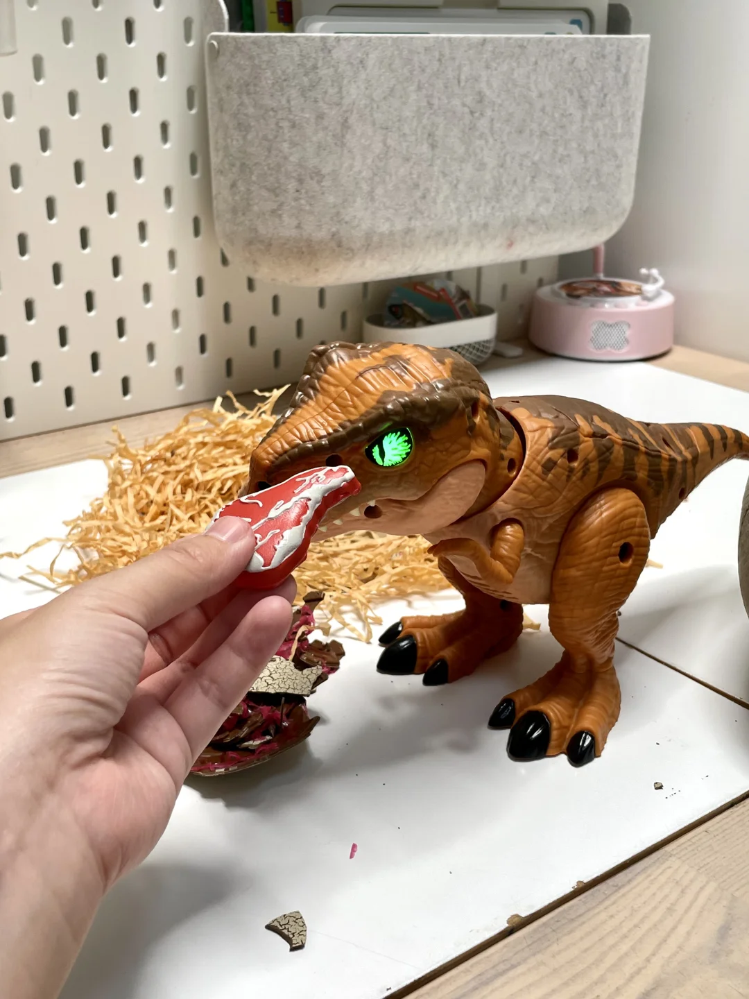 今年五岁生日 孵化了一只侏罗纪霸王龙?