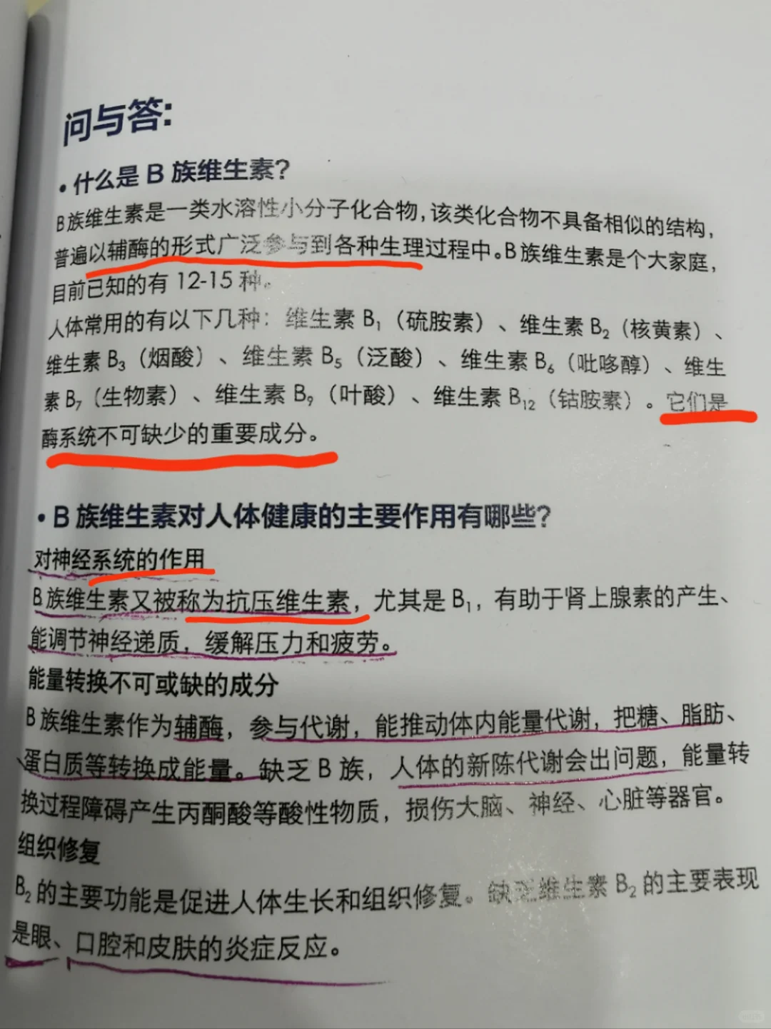 维生素B族的用途