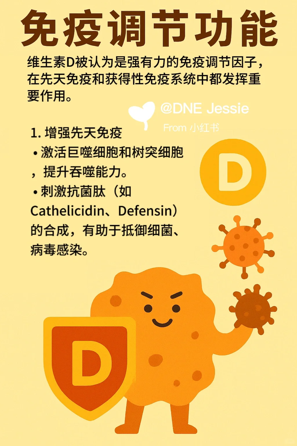 一图了解维生素D!