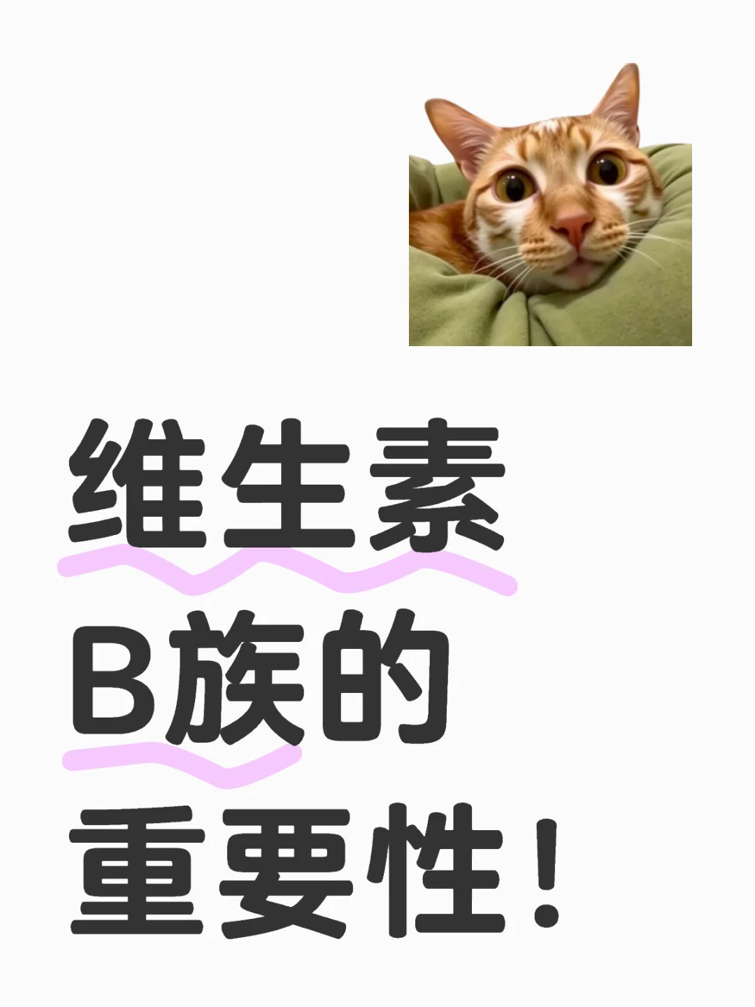 维生素B族的重要性！