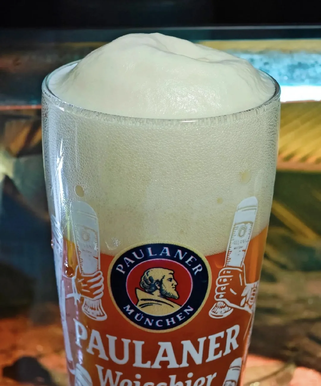 啤酒六边形战士!麦香平衡性价比,柏龙全都要