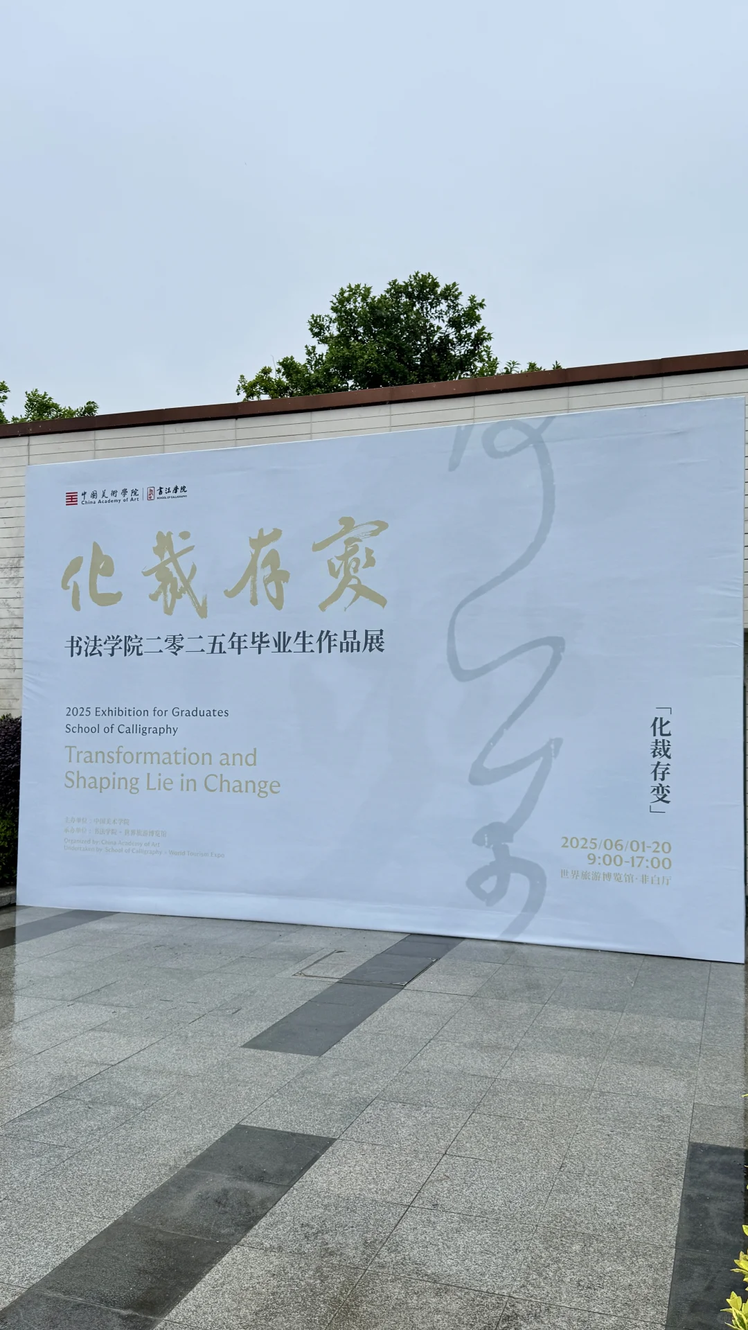 下次展览看点啥