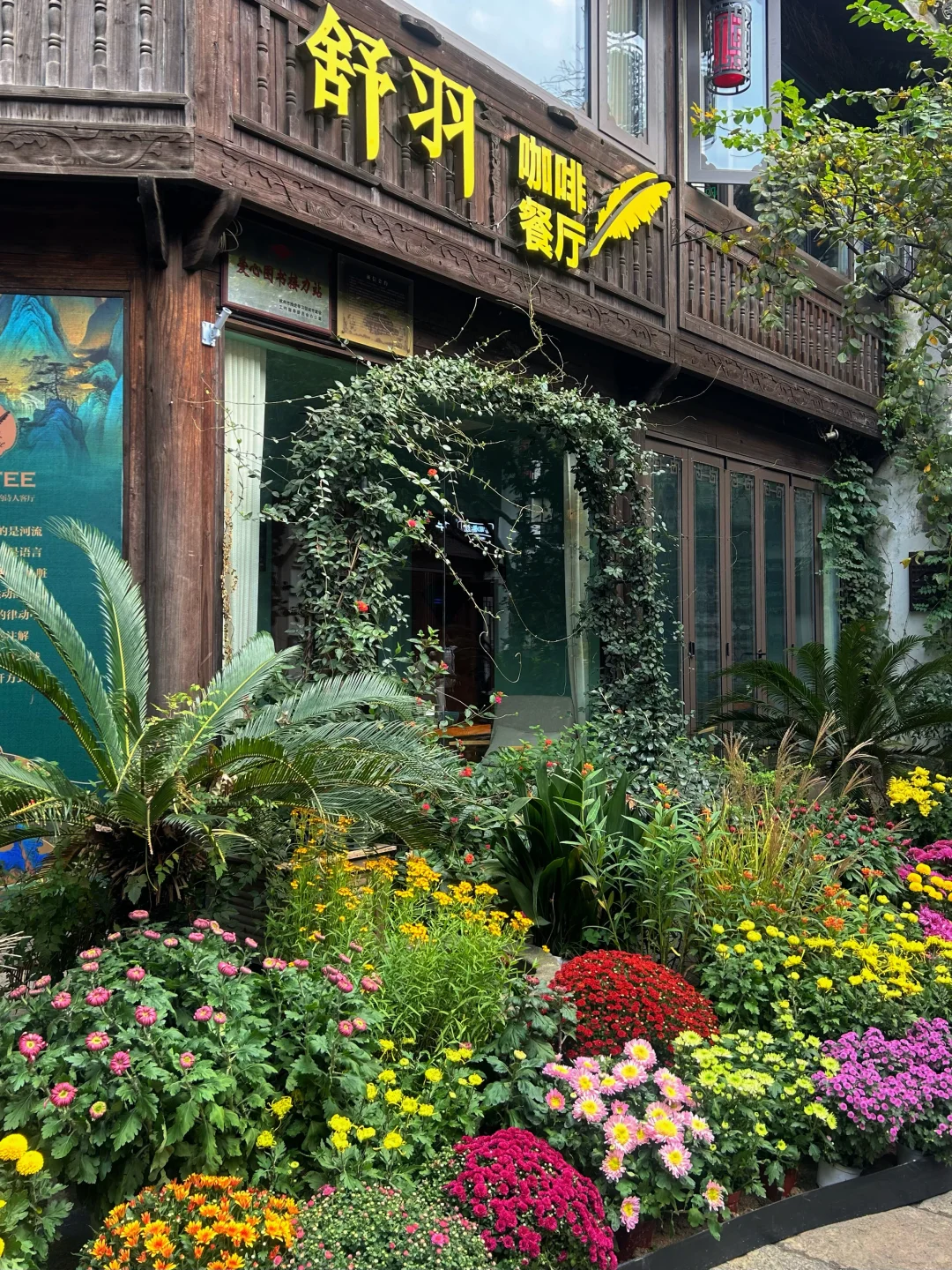 2025杭州拱宸桥菊花展来了‼️附攻略