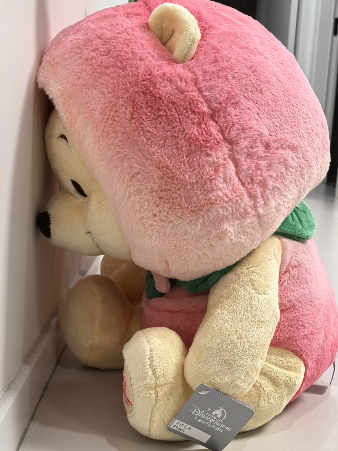 是我们噗噗在面壁思过鸭 蜜桃噗噗无敌可爱