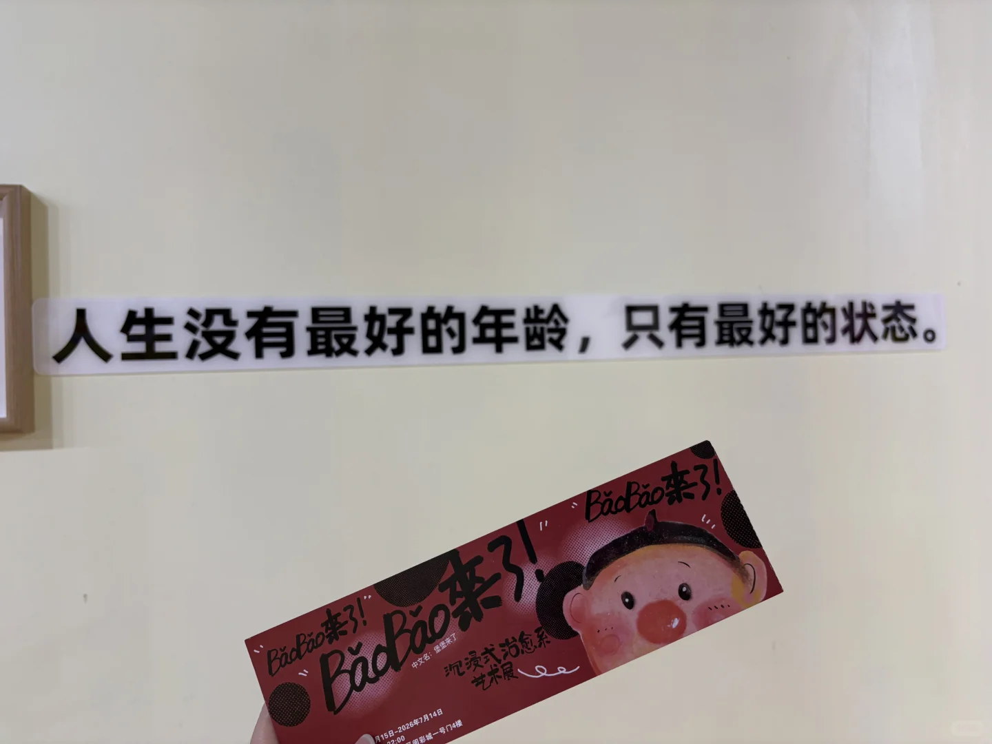 银川探展丨BaoBao来了·沉浸式治愈系艺术展