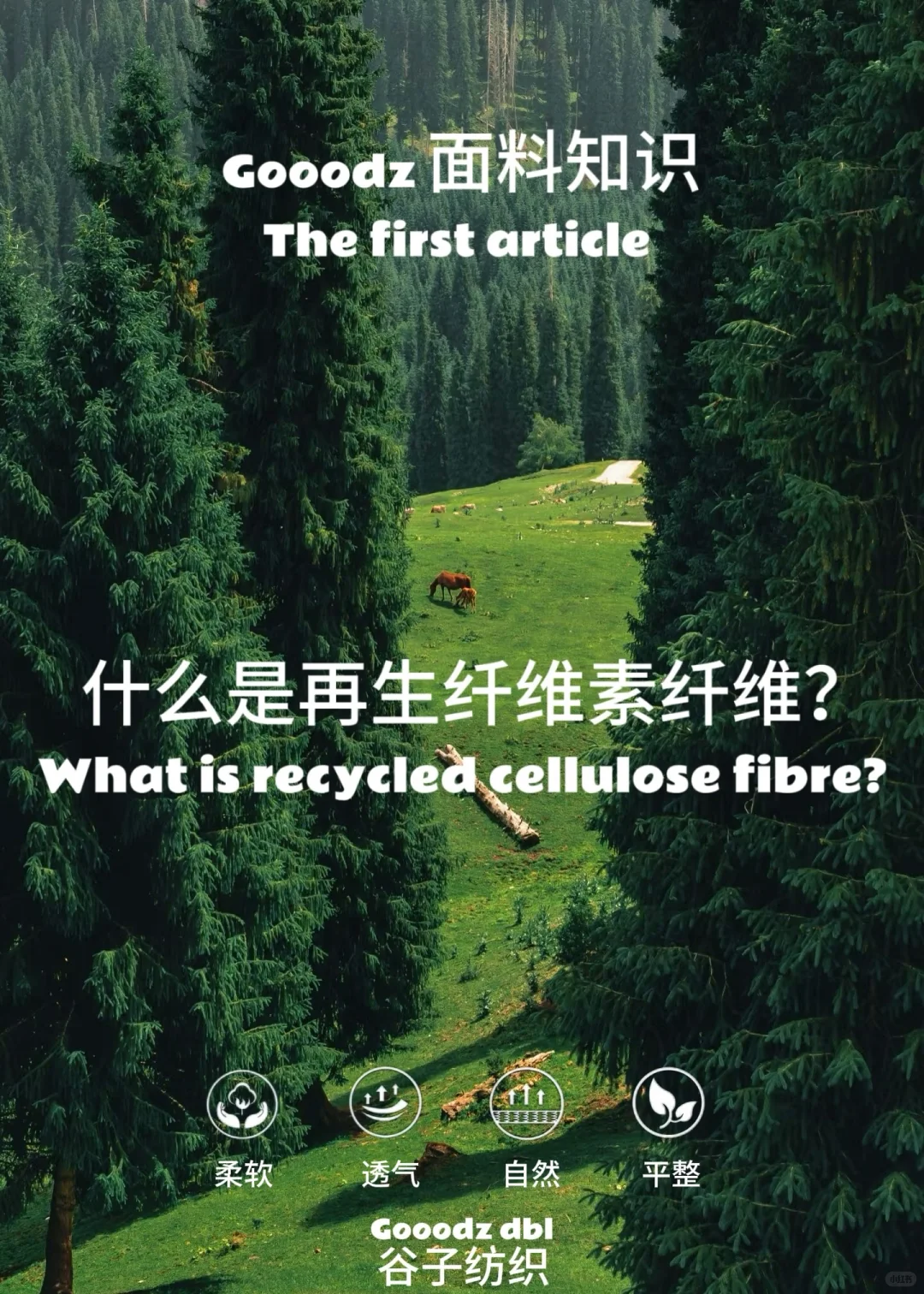 好的面料知识之“再生纤维素纤维”