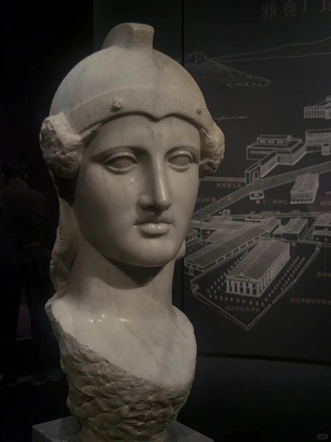 夜游博物馆小记?聊聊两场不同的希腊展