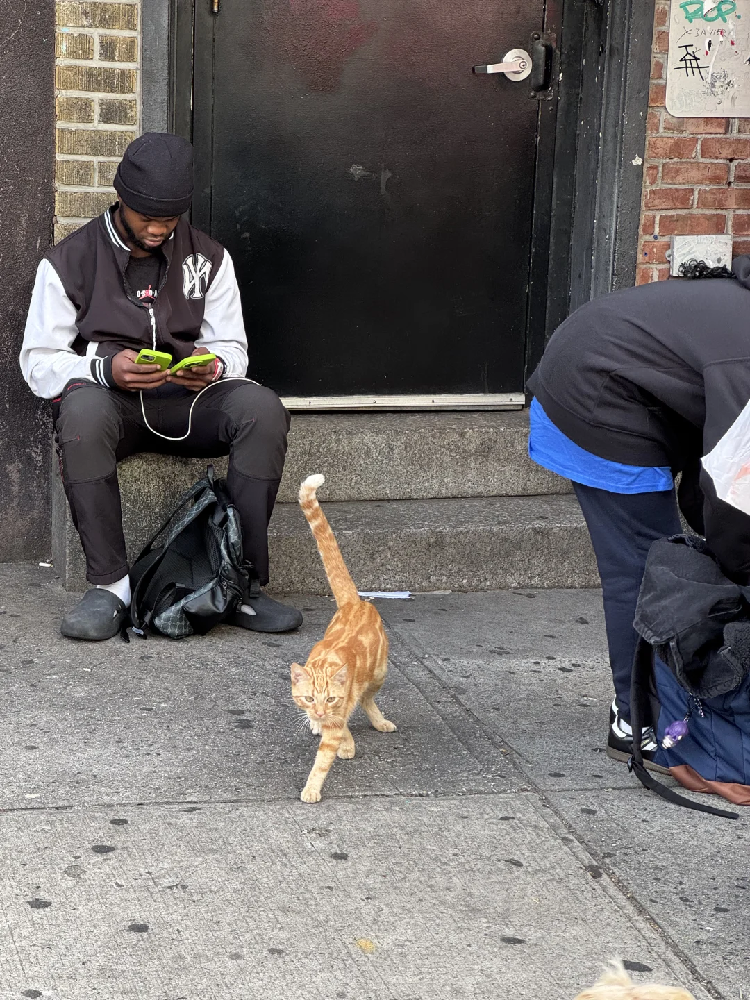 美国同学说她家有钕铜基因