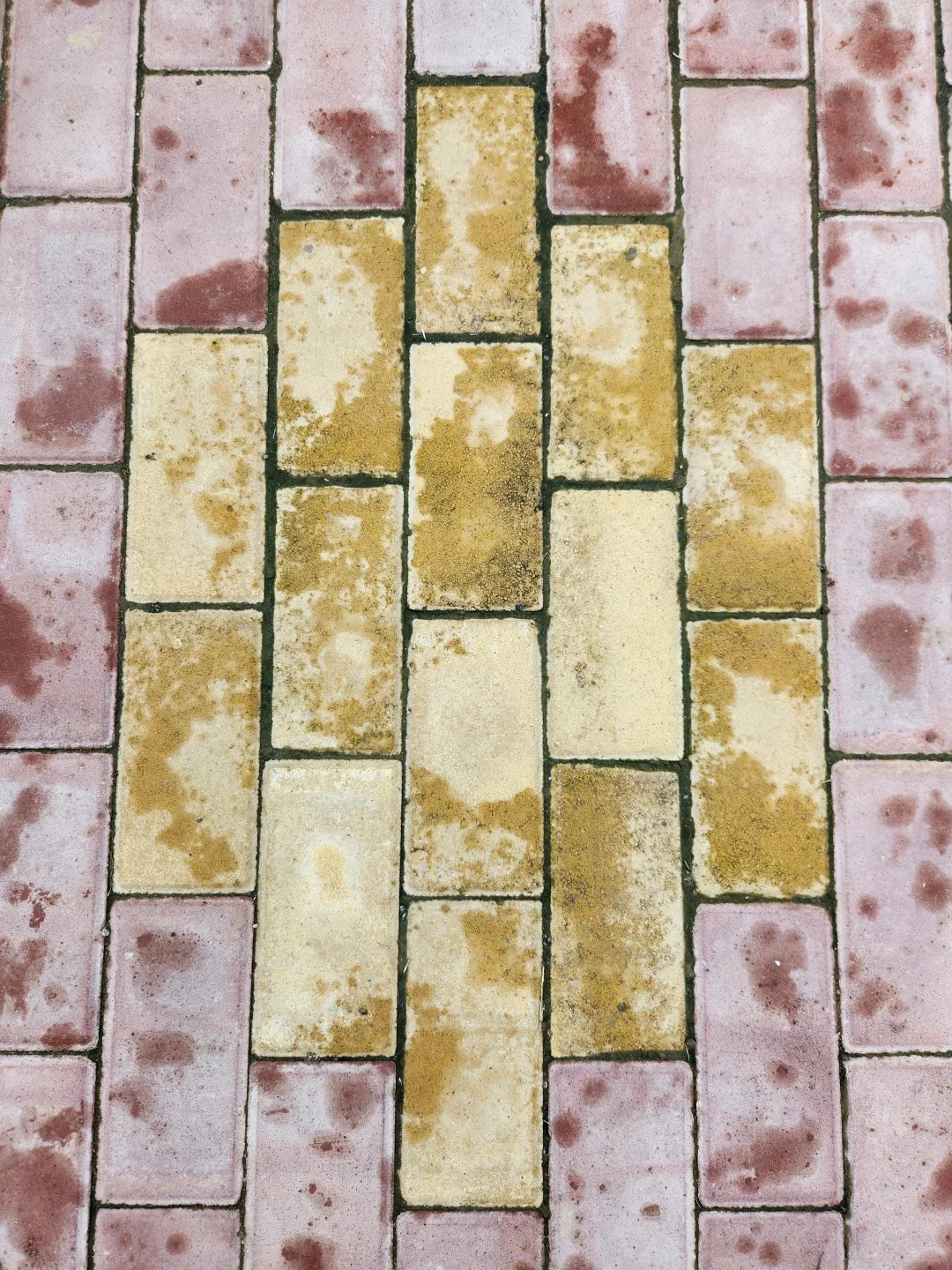 郑州藏宝｜富士拍立得自取