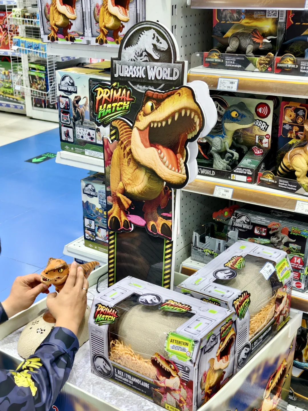 今年五岁生日 孵化了一只侏罗纪霸王龙?