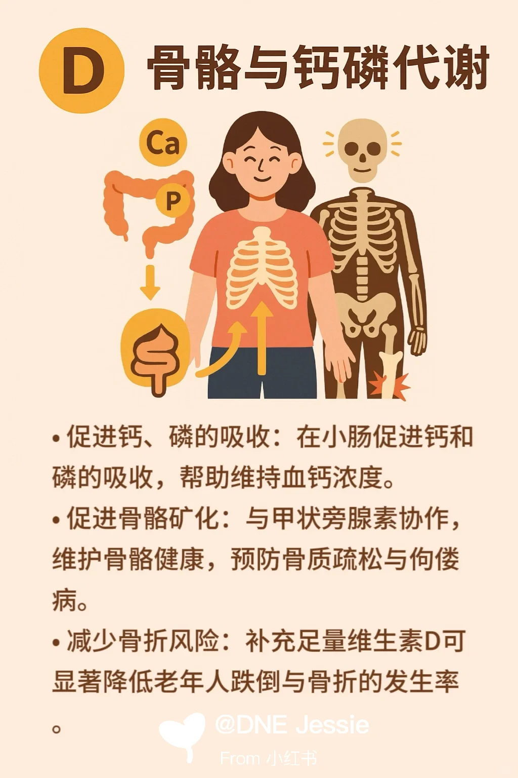 一图了解维生素D!