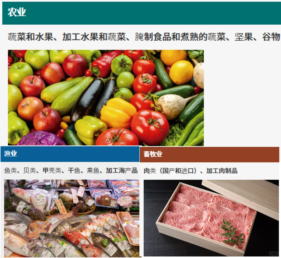 Foodex 2025日本国际食品饮料展非常特别！