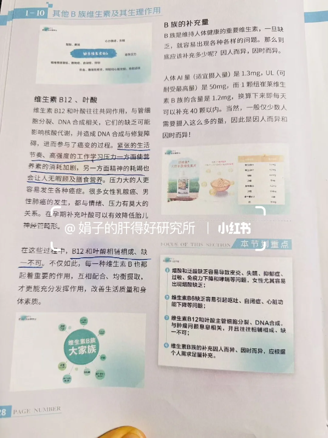 肝指标异常,和严重缺b族维生素有关