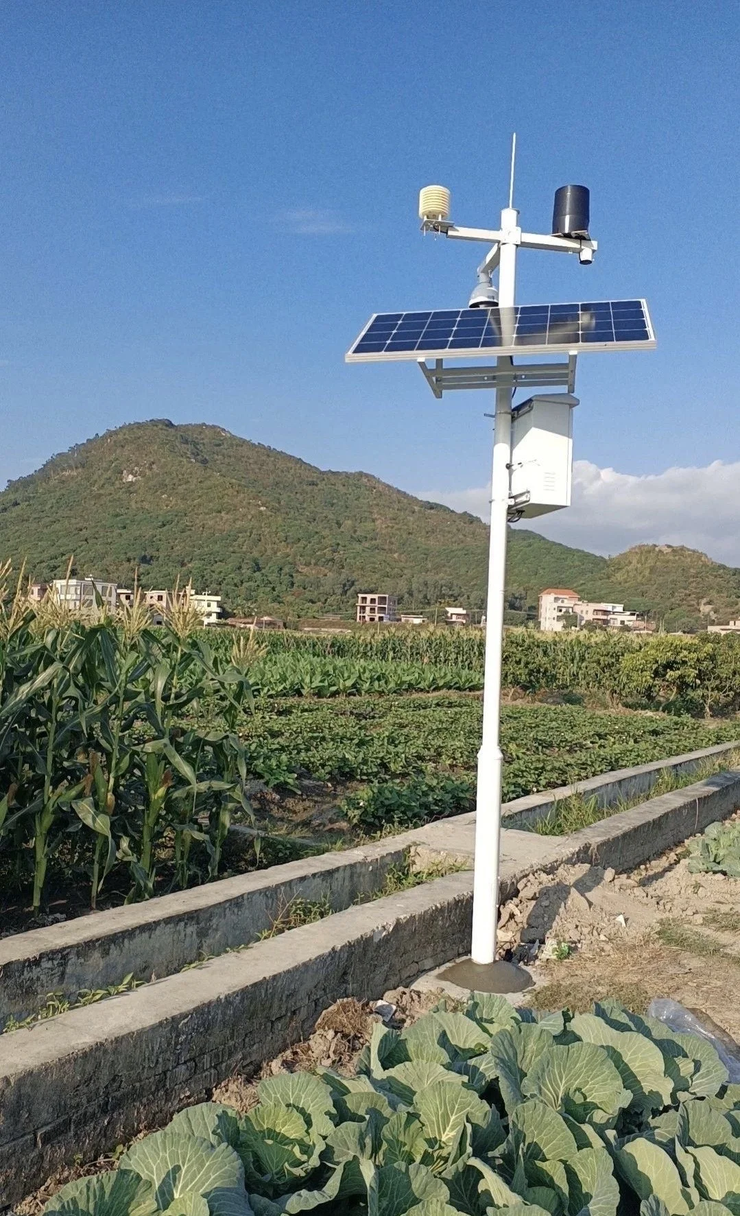 【智慧太阳能板·开启能源自主新纪元】☀️