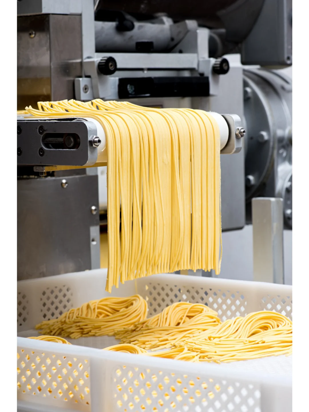 ? 食品加工技术,意大利机械有何特点?