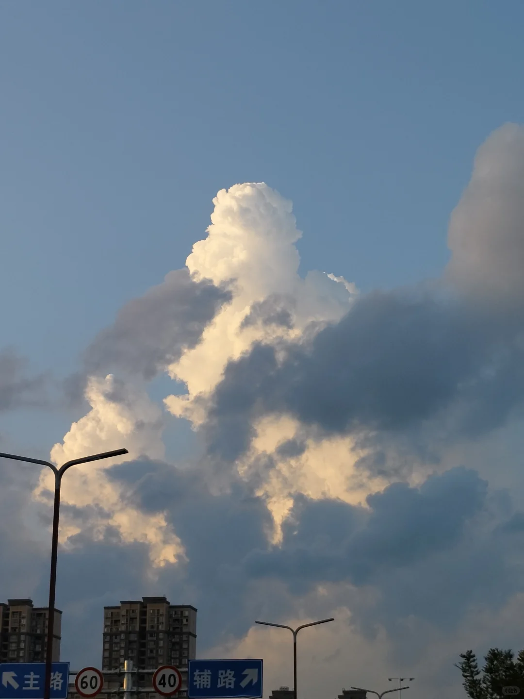 有没有做泵的厂家