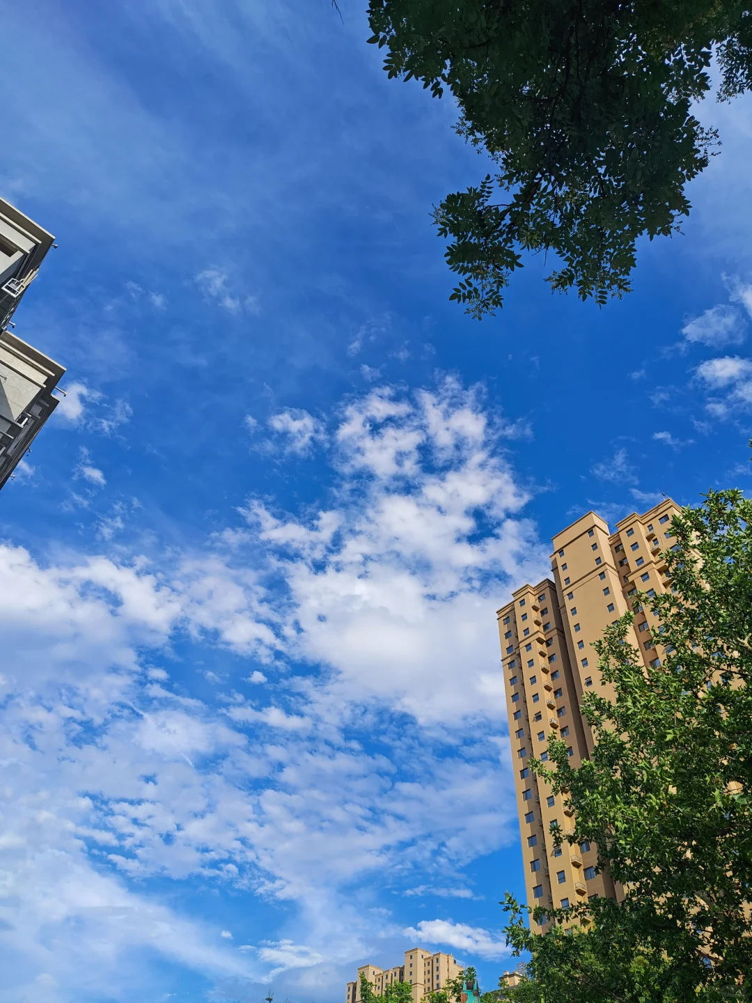 gpc专业测试，985高校高分子方向博士