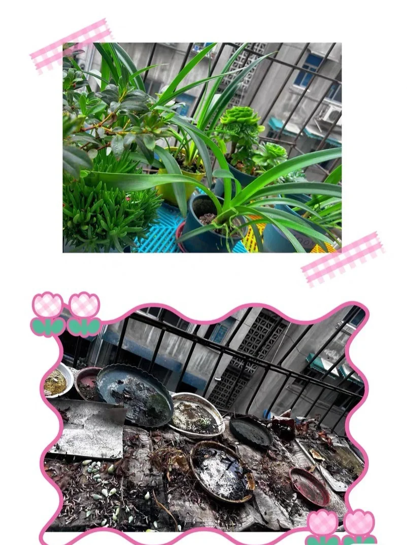 阳台垫板PP聚丙烯材质支持尺寸任意裁剪哦