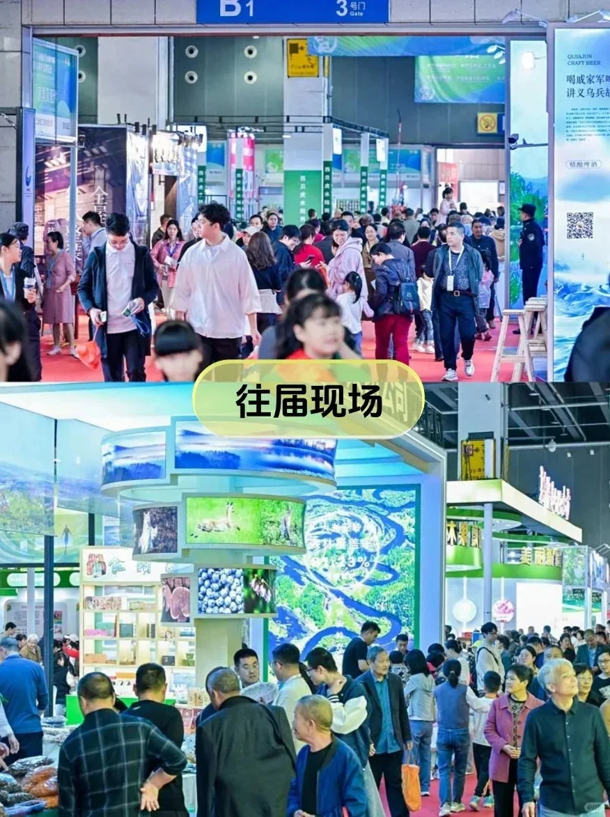 自然系爱好者来玩!义乌森博会淘到停不下来