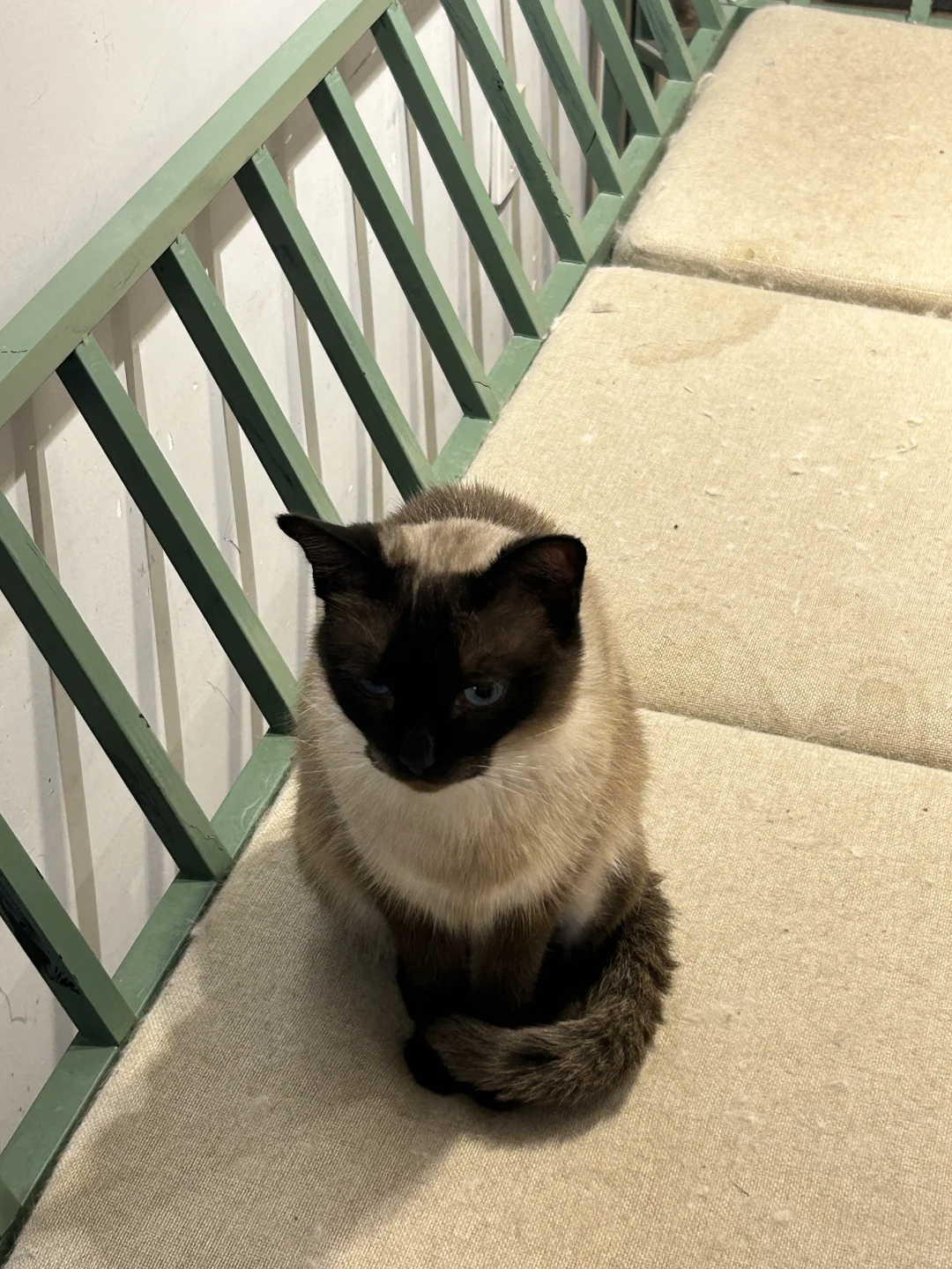 杭州雨天玩火指南?88r烧玻璃?手残逆袭版