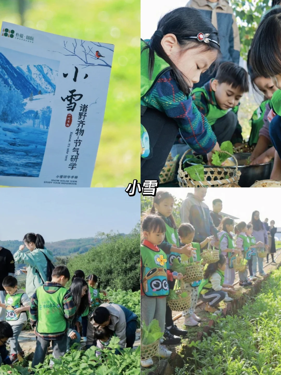 十一月活动策划宝典|燃爆五大节点全攻略