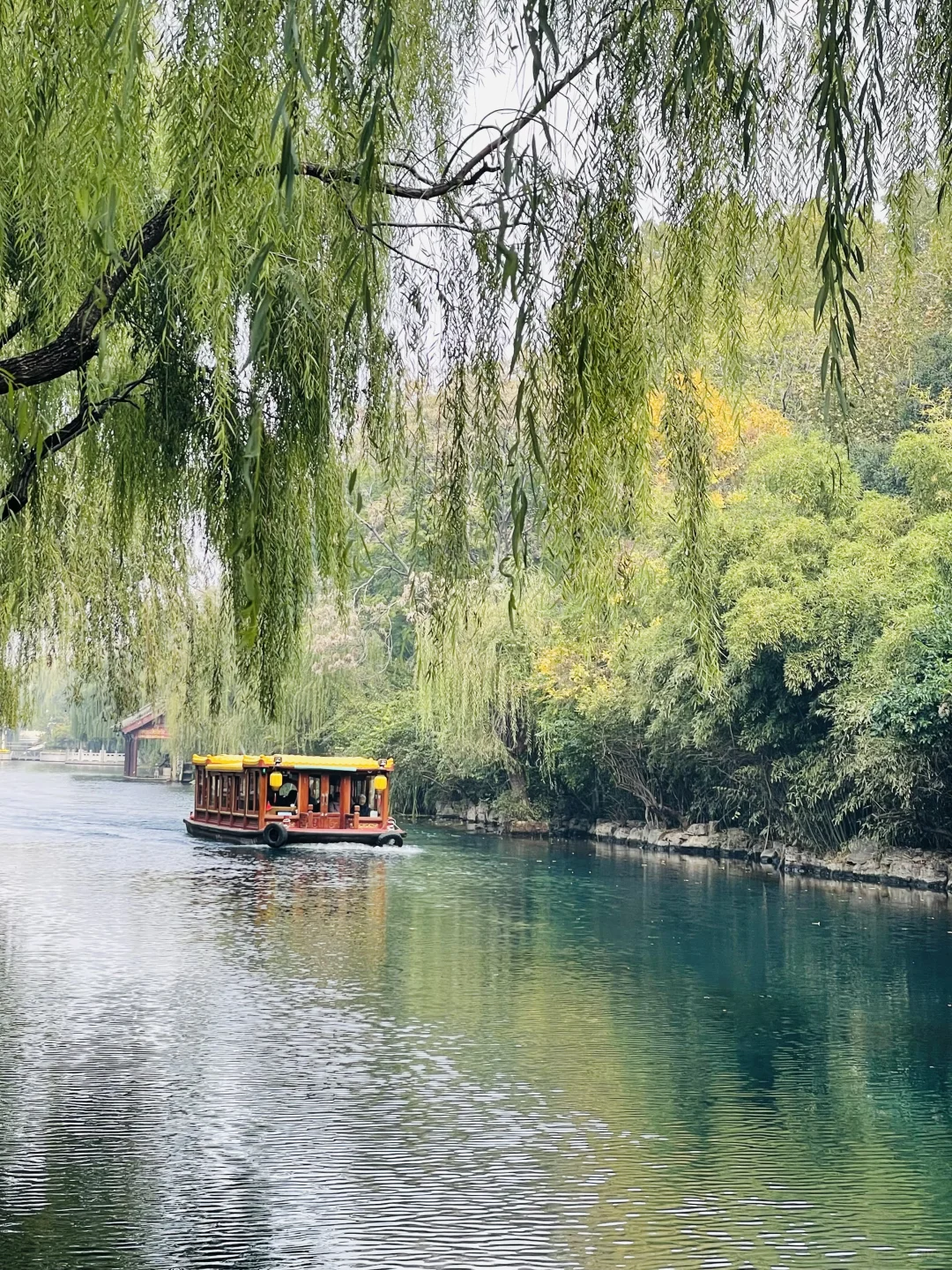 ?济南护城河 | 秋日遛娃的绝佳选择?